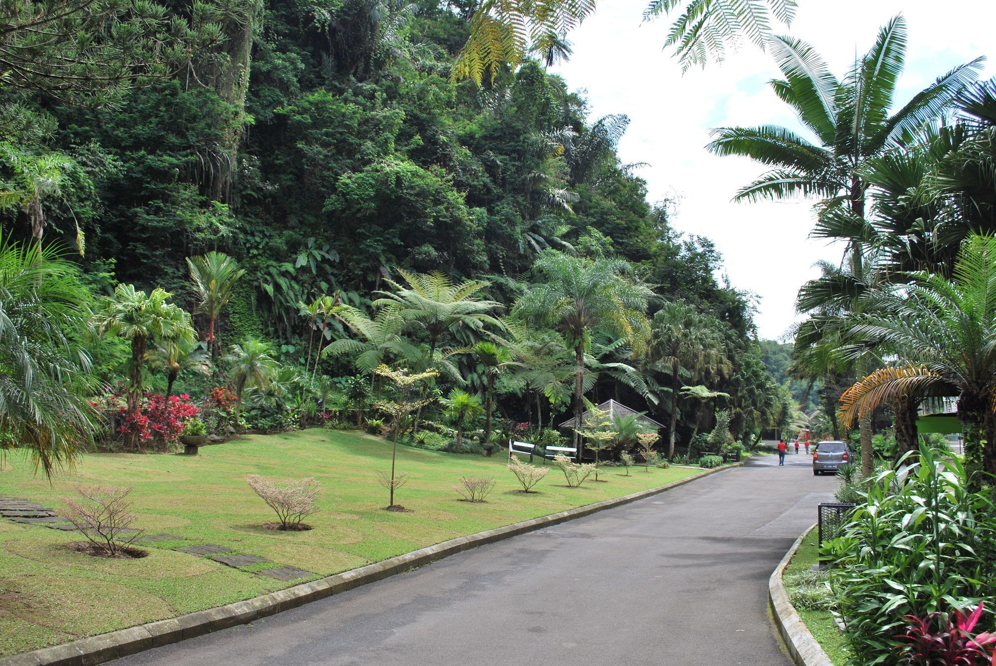 Zuri Resort Cipanas Puncak Exteriör bild